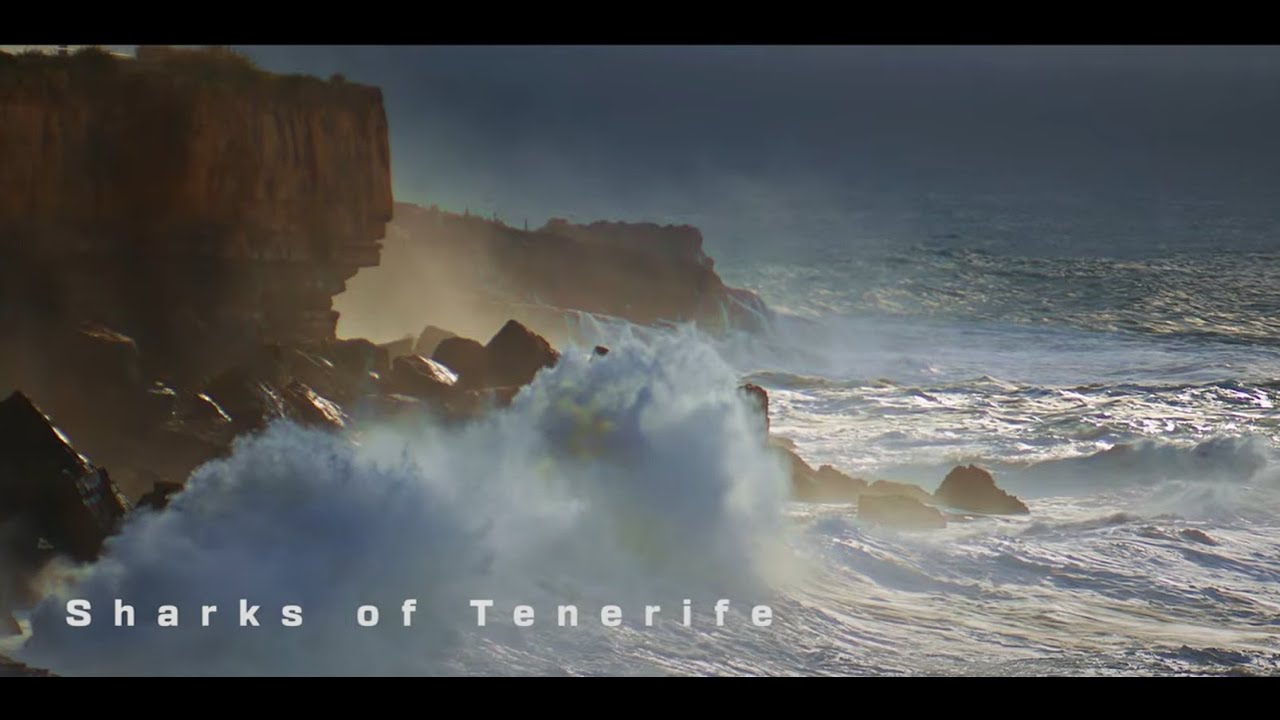 Shark Research in Tenerife - Exploring Our Deep World