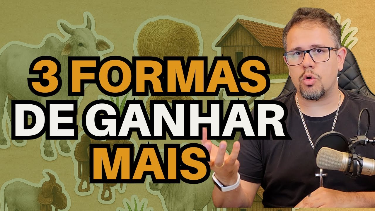 3 ESTRATÉGIAS para aumentar a LUCRATIVIDADE na venda de NOVILHAS