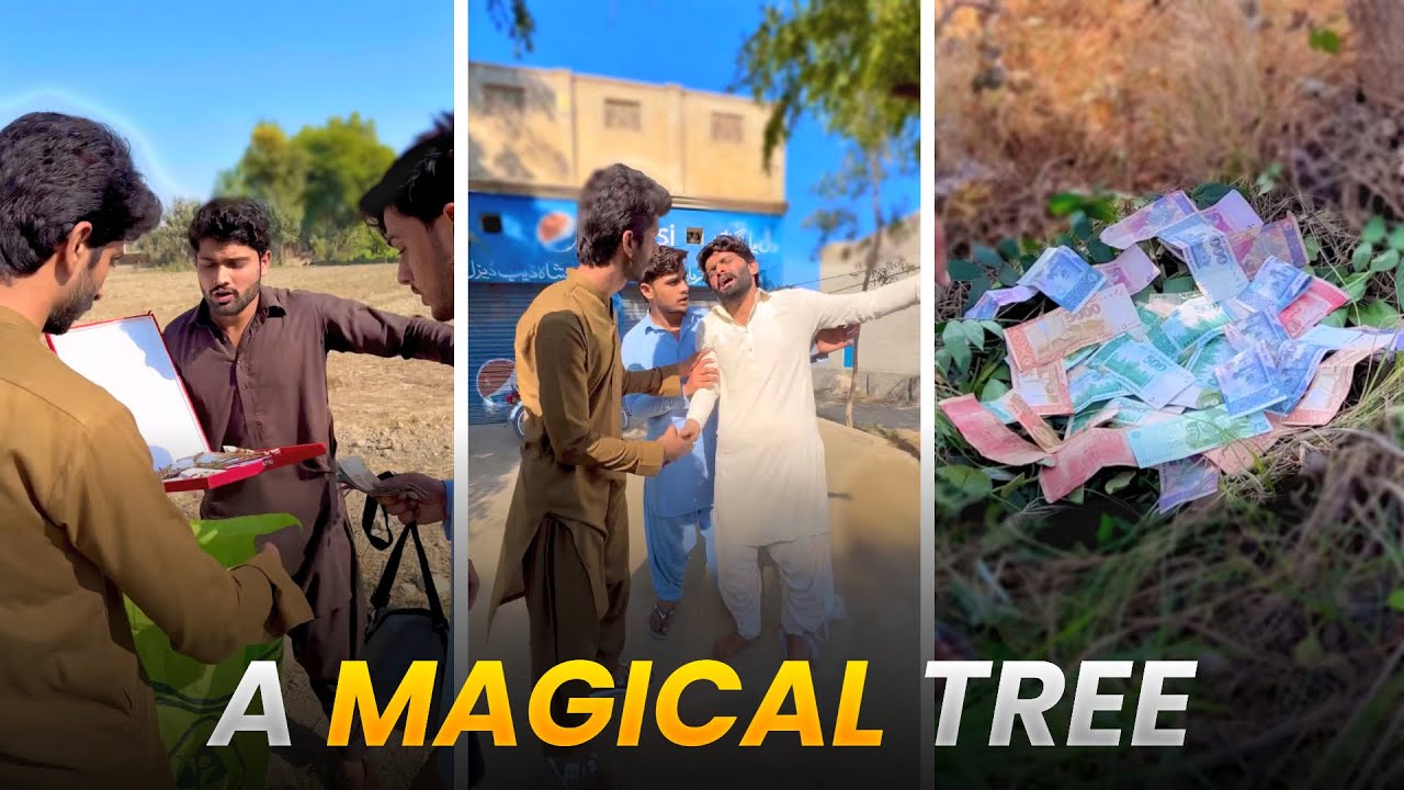 Tree🌲 Main Eysa Kiya Tha😳Maza End Main Hy😂 Zubair Zk funny video