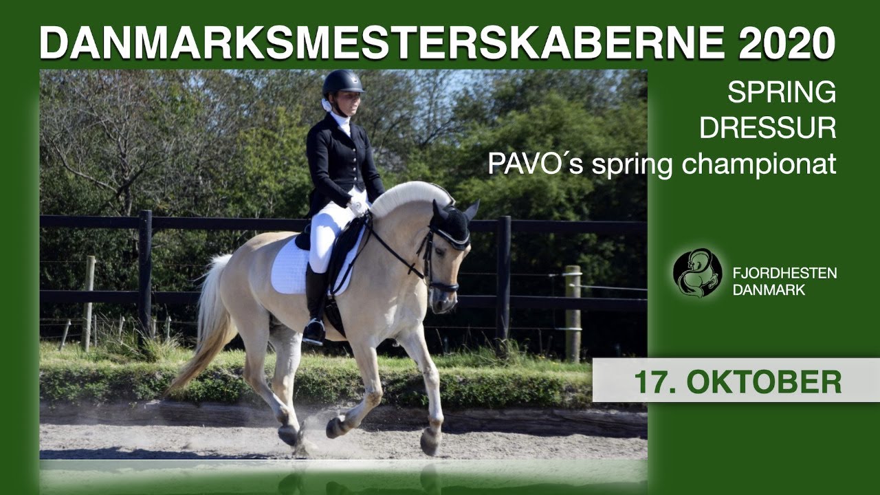 DM 2020- FJORDHESTE - Spring - Dressur - PAVO´s spring championat - dag 2