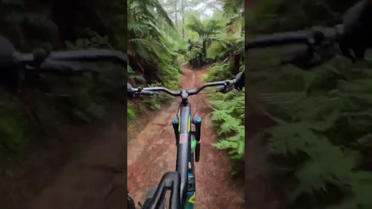 #mtbnz #mtblife #bornformtb #mountainbike #mtbd #mountainbiking #gopromtb #fun #downhill
