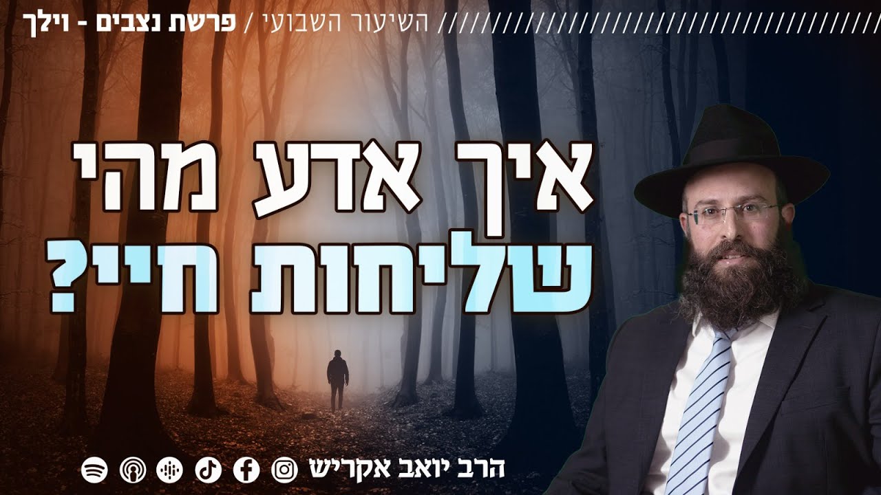 איך אמצא את שליחות חיי? | פרשת נצבים וילך