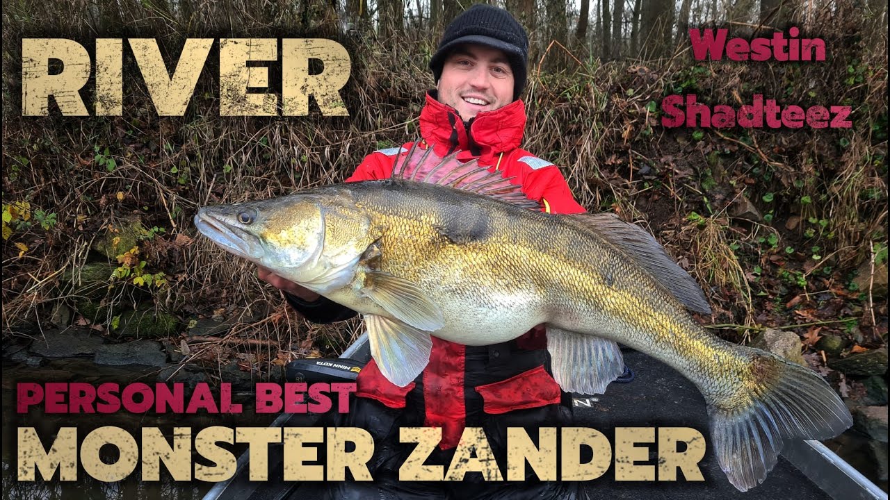 MEGA CAND&Aacute;T Z LABE / MONSTER ZANDER FROM RIVER LABE