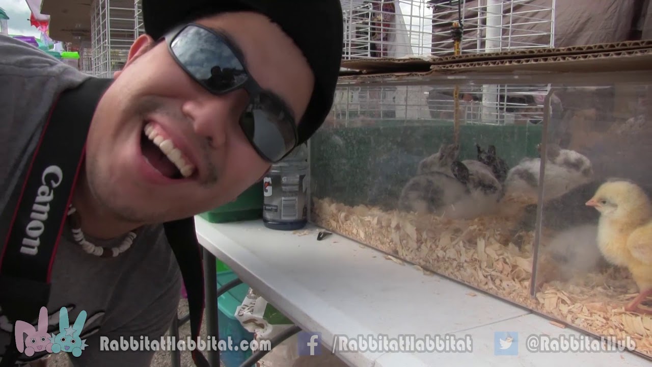 CheonHoPark Singing the Bunnylandia Song in Green Bay, WI!!