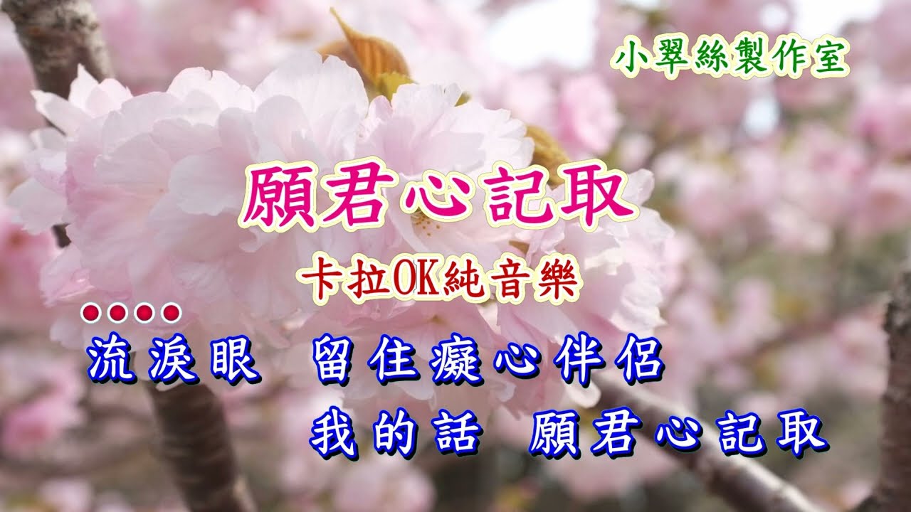 願君心記取 - 卡拉OK純音樂