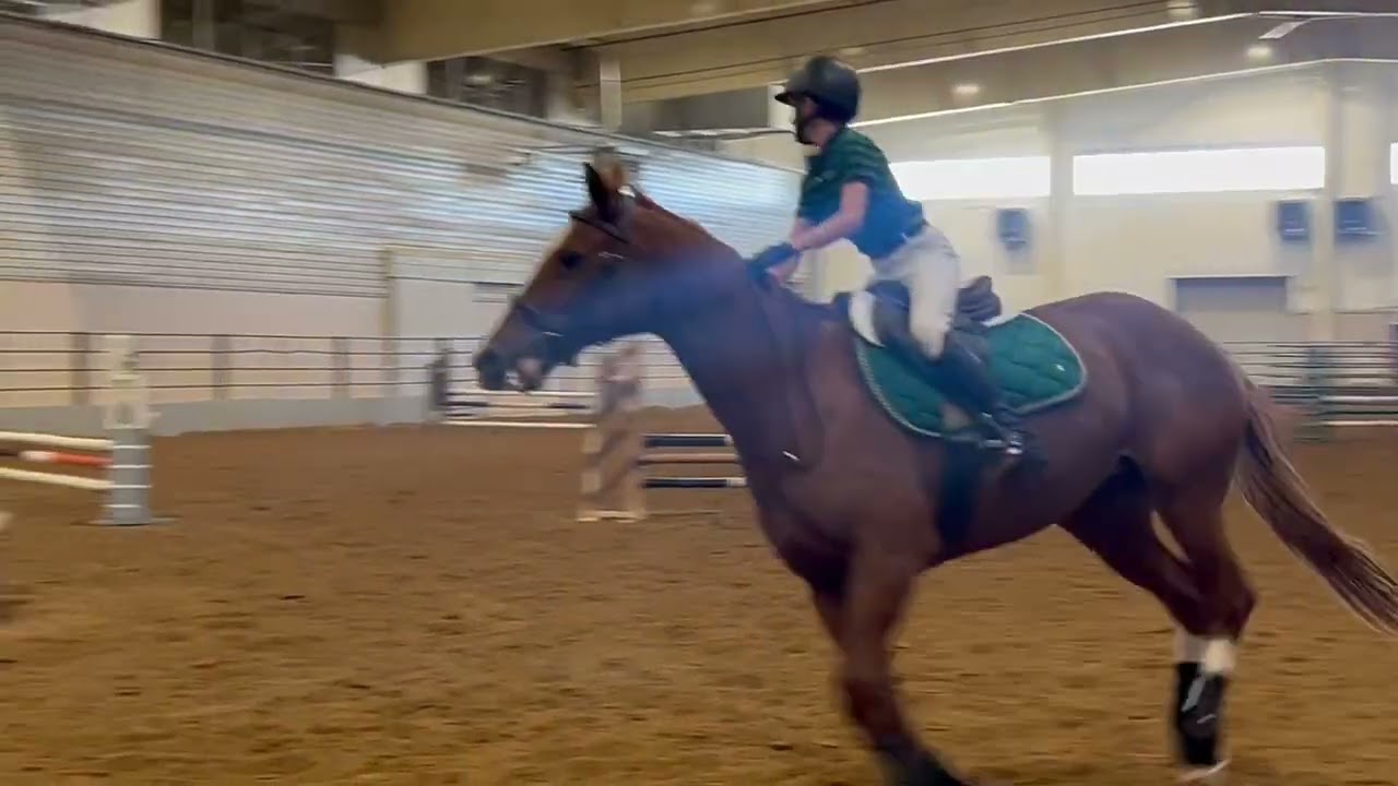Grindle - Champion 0.75 jumper division, April 2024