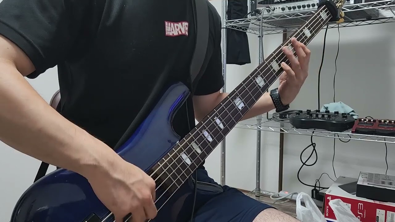 【Full】Suffocation - Catatonia (Bass Cover)