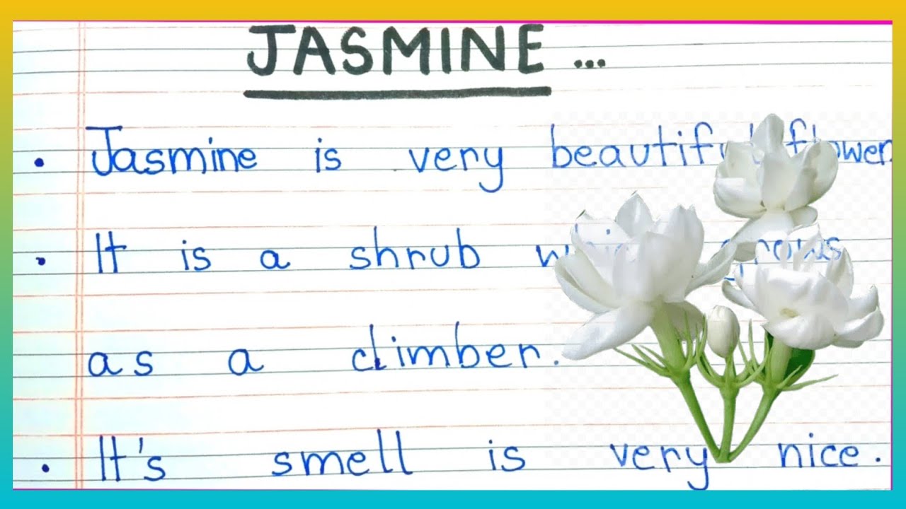 Jasmine Flower Essay in English 10 Lines || Short Essay on Jasmine Flower