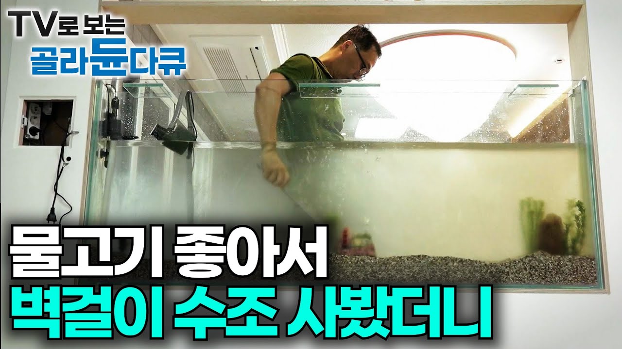 집에서 물고기 키우는게 과연 힘들까? 고민하다가 결국 수조를 샀다｜벽걸이 수조｜수조 인테리어｜극한직업｜#골라듄다큐