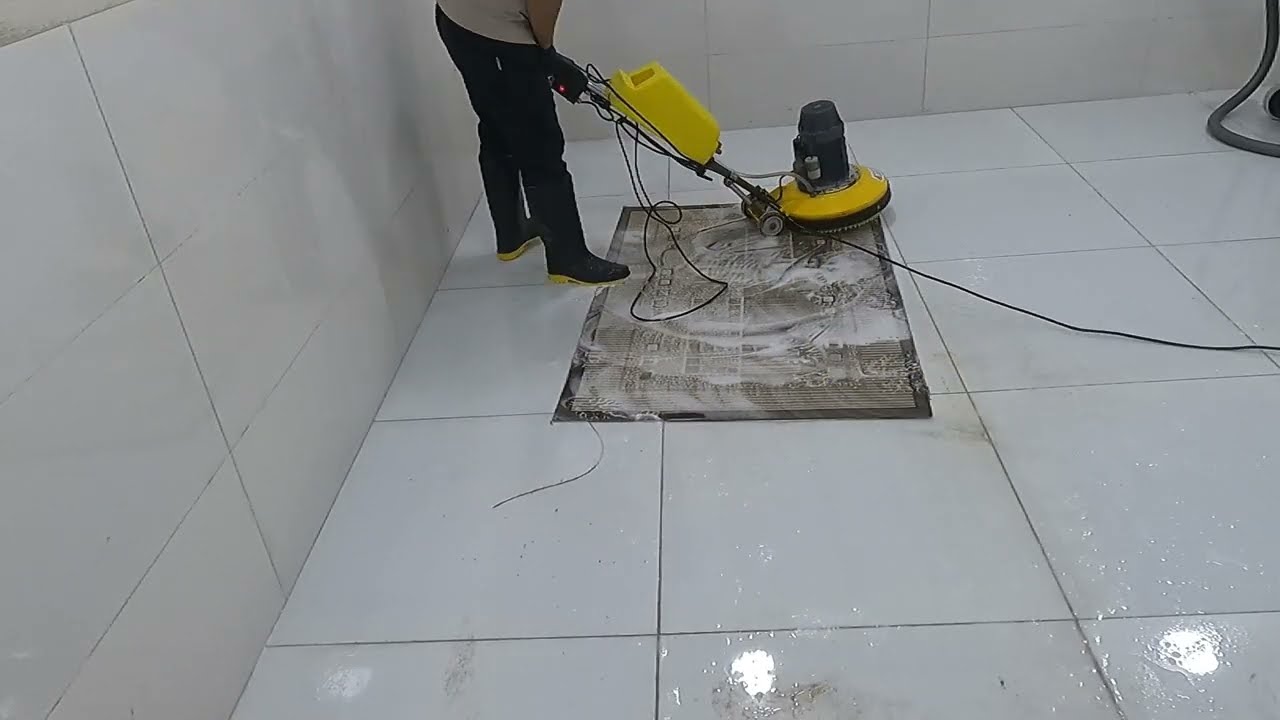 The Tool That Eats Dirt: Washing a FILTHY Carpet to Perfection.