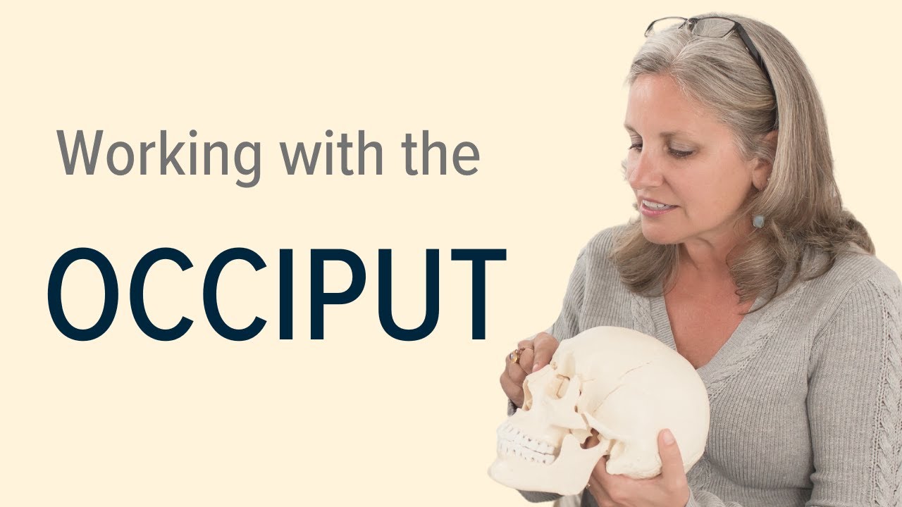 Working with the Occiput