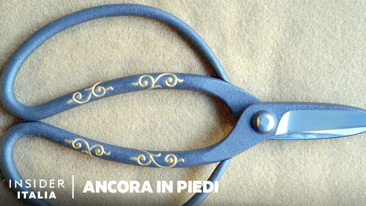Perché le Forbici da Bonsai Possono Costare $ 26.000 | Ancora in Piedi | Business Insider