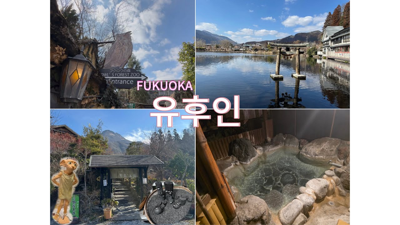 유후인 1박2일 힐링온천여행💕 코하루우동/헬로키티/미피상점/긴린코호수/노비루산소✈️