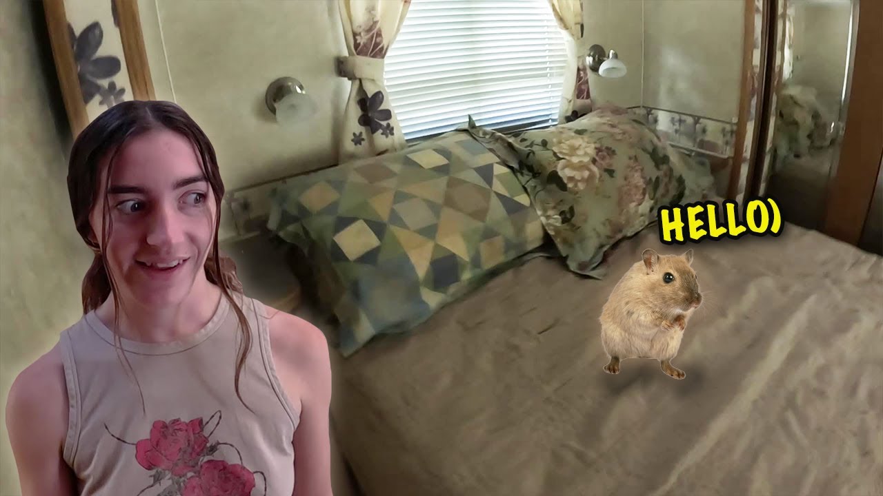 Is There a Mouse in My Camper?! Clean-Up Day!