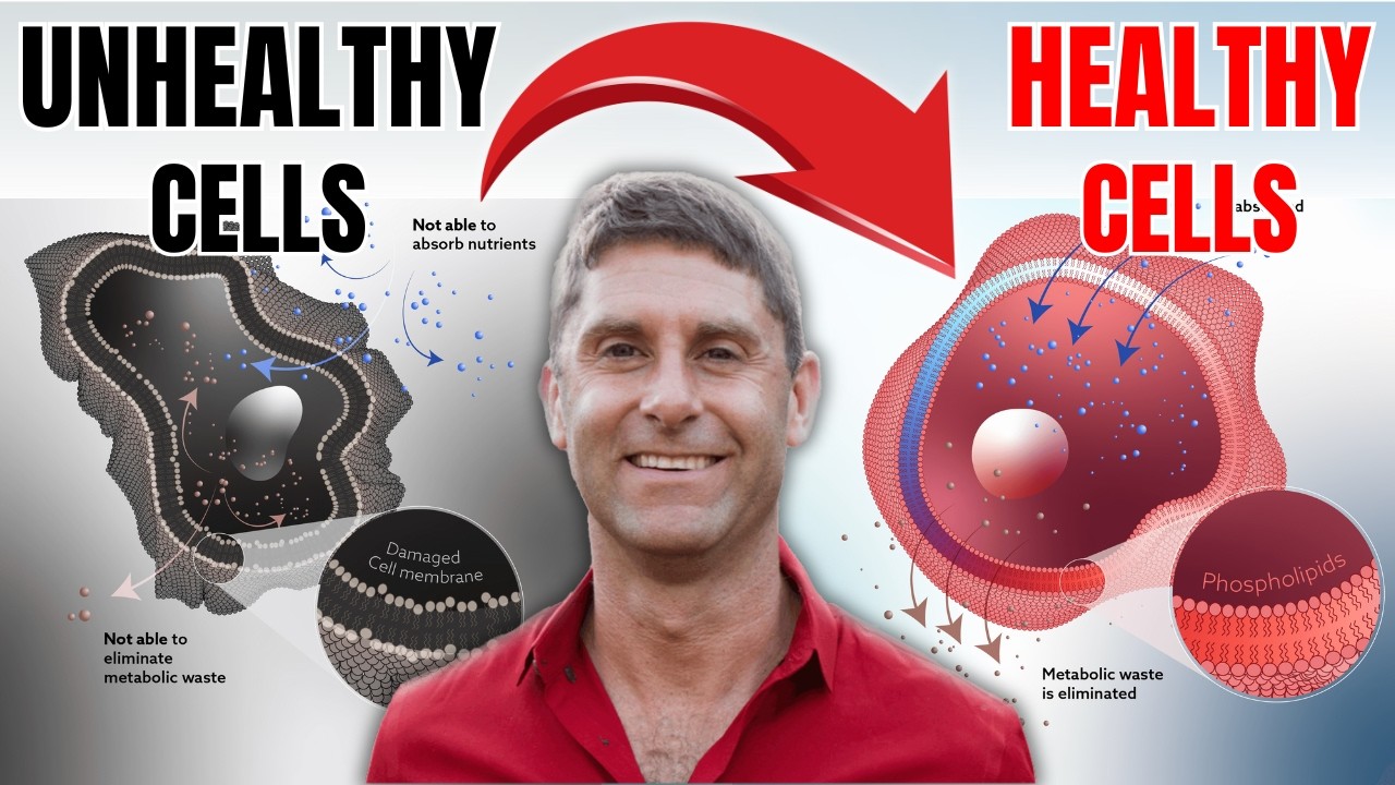 The Cellular Health Breakthrough: Simple Hacks for Energy, Longevity, and Repair