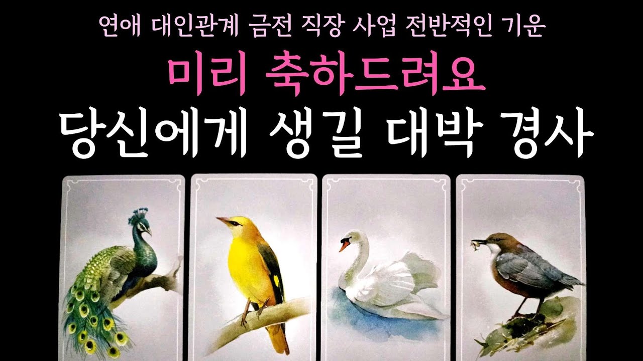 [타로] 소름 정확 리딩🍀 당신에게 생길 대박 경사