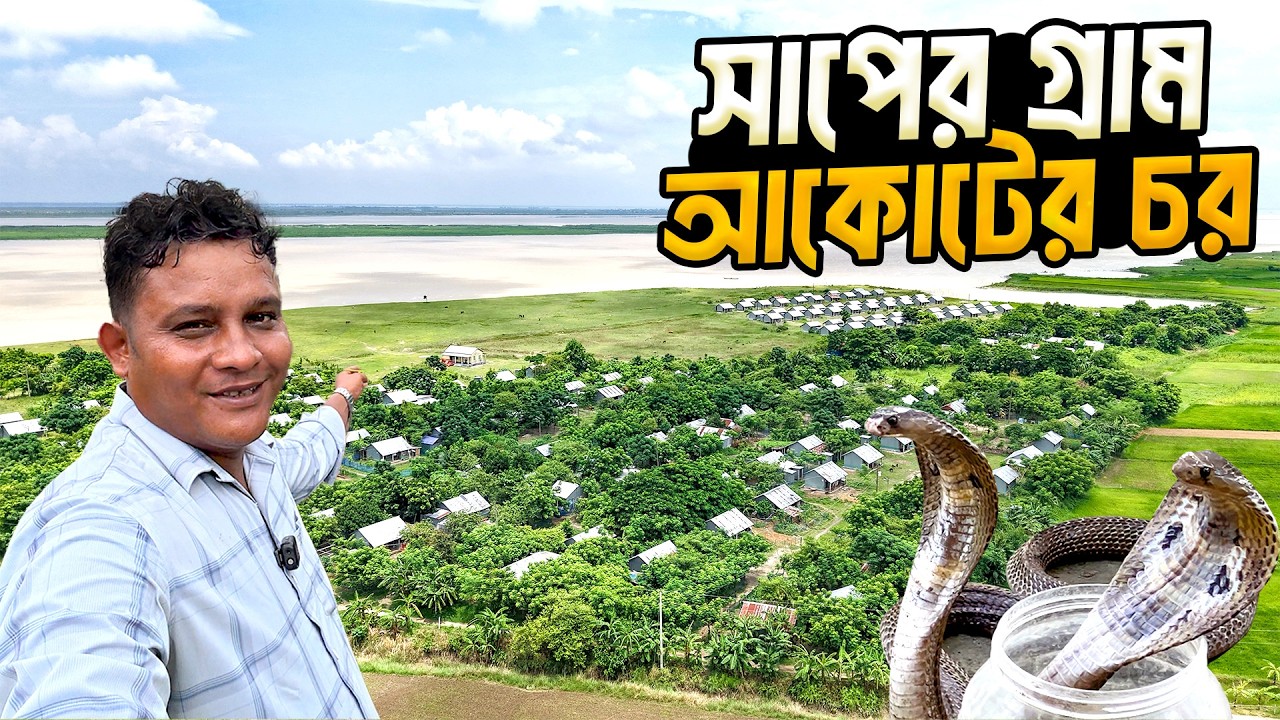 ফরিদপুরের আকোটের চরের মানুষের যাপিত জীবনের গল্প । Faridpur Akot Island