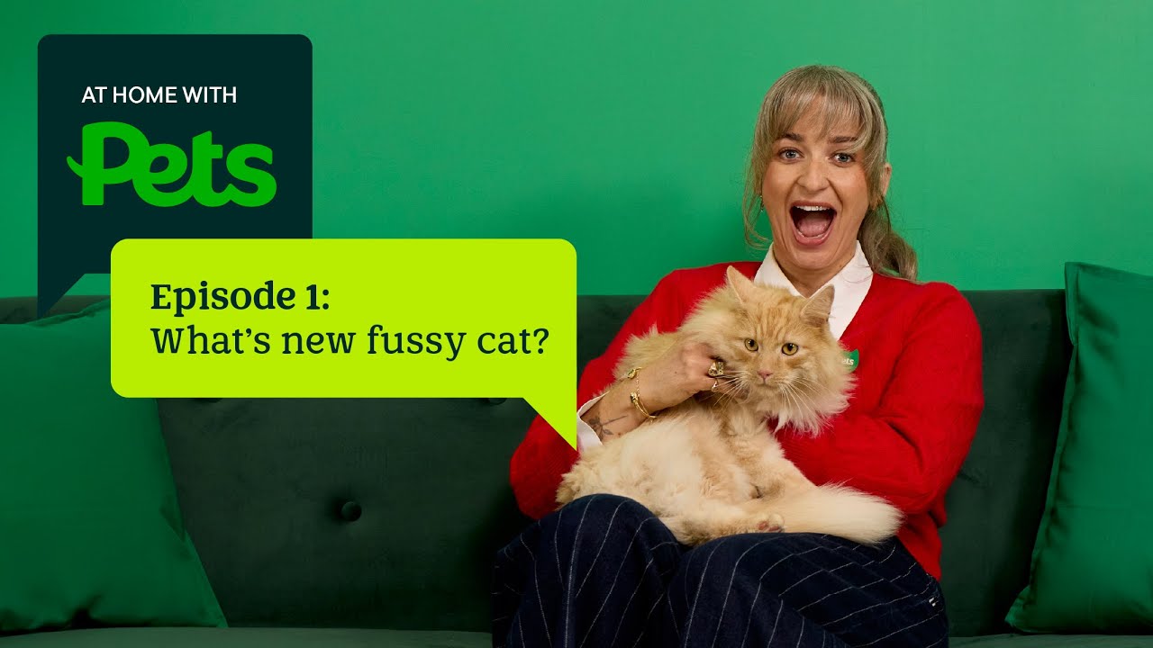 Will they eat it? How to feed a fussy cat | At Home with Pets
