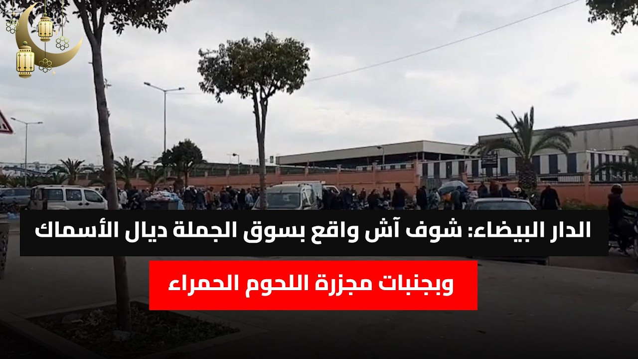 الدار البيضاء: شوف آش واقع بسوق الجملة ديال الأسماك وبجنبات مجزرة اللحوم الحمراء.