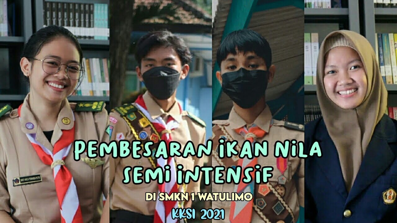 Pembesaran Ikan Nila Semi Intensif di SMKN 1 Watulimo Jurusan Agribisnis Perikanan Air Tawar