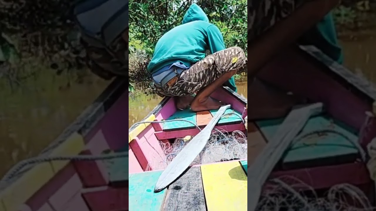 Merawai Ikan Di Sungai #rawai #merawaiikan #merawai #ikan #shorts