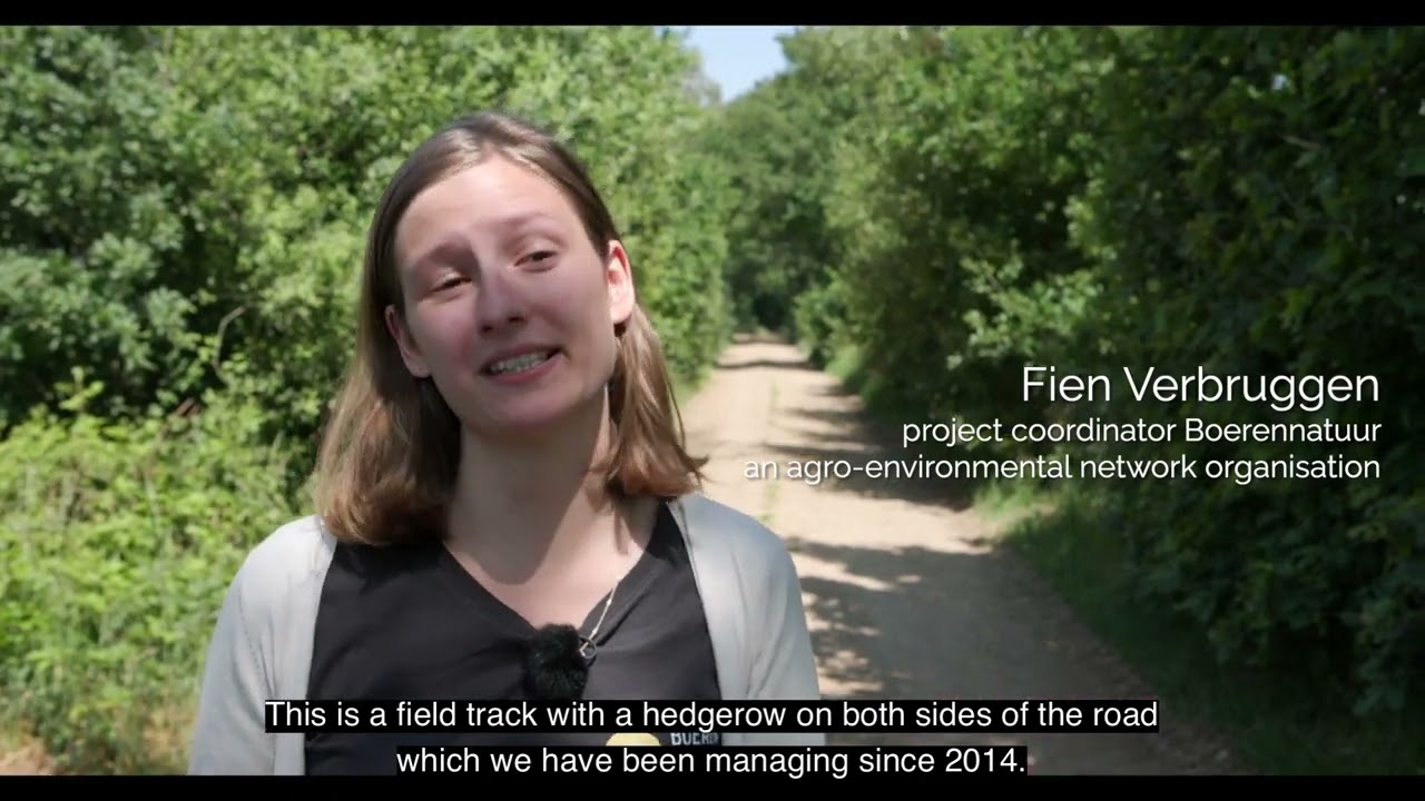 The pathway towards a fossil-free agriculture and a citizen-led energy transition