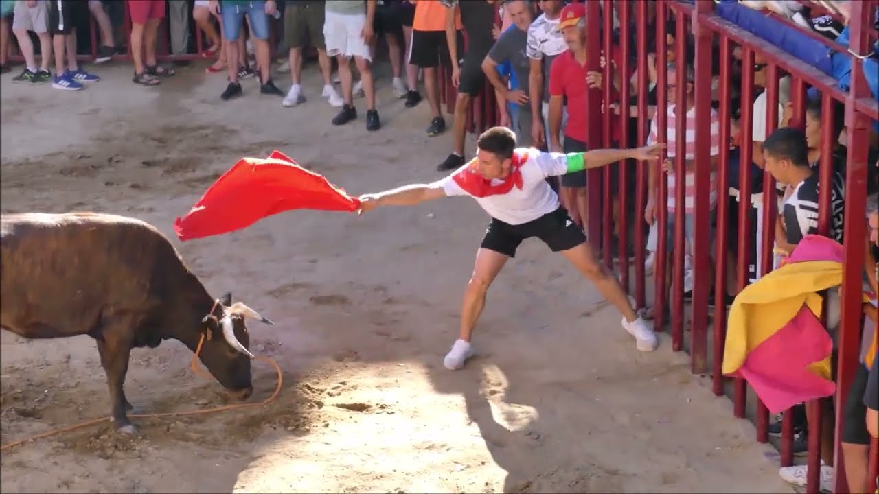 Fiestas de Agosto 2023. TOROS TRADICIONALES AL ESTILO DE LA VERA en Losar de la Vera