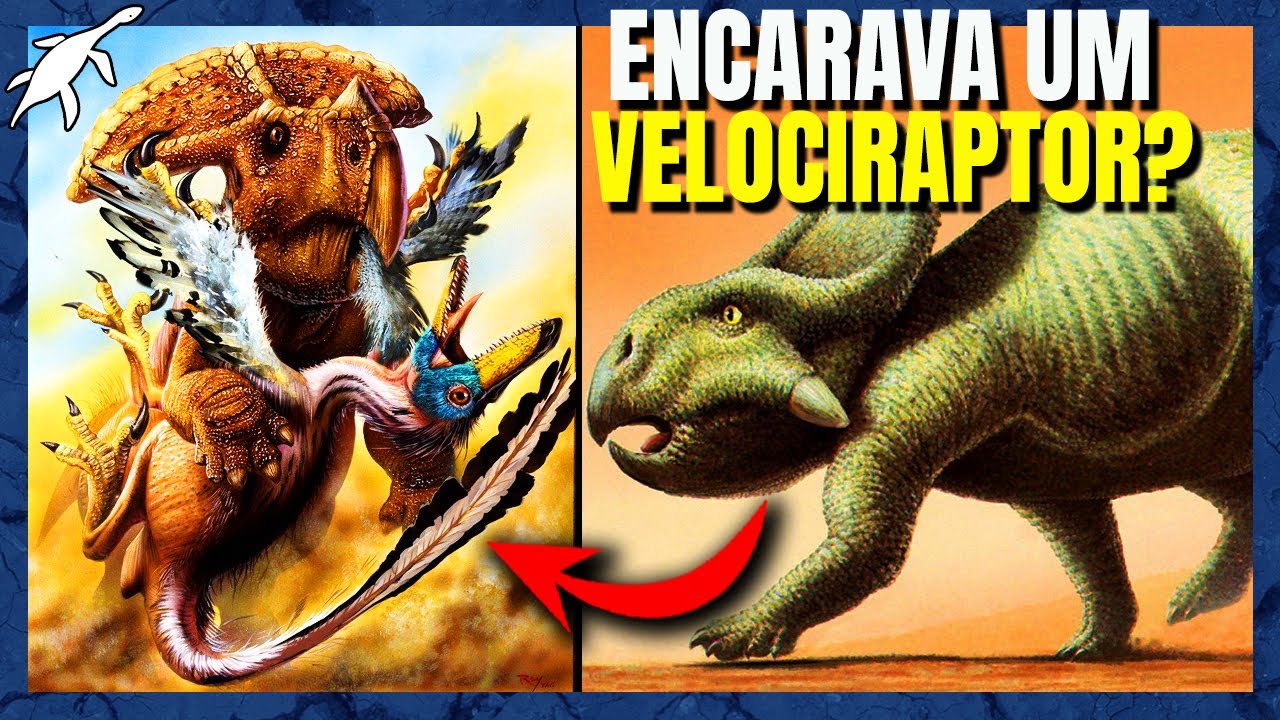 A BIOLOGIA INSANA do PROTOCERATOPS! (Protocerátopo)