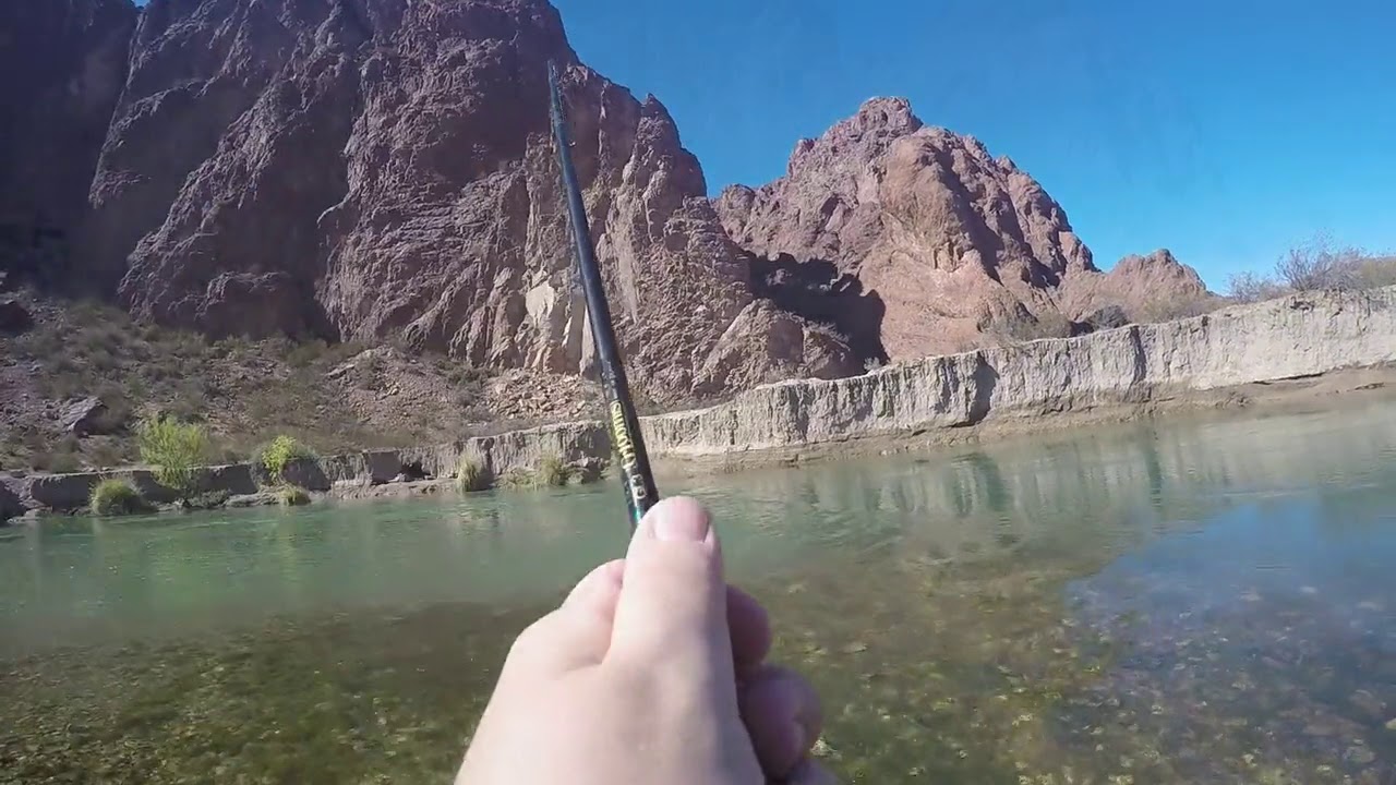 🎣 Trucha Arcoíris en el Río Chubut | Fly Fishing en el Dique Florentino Ameghino