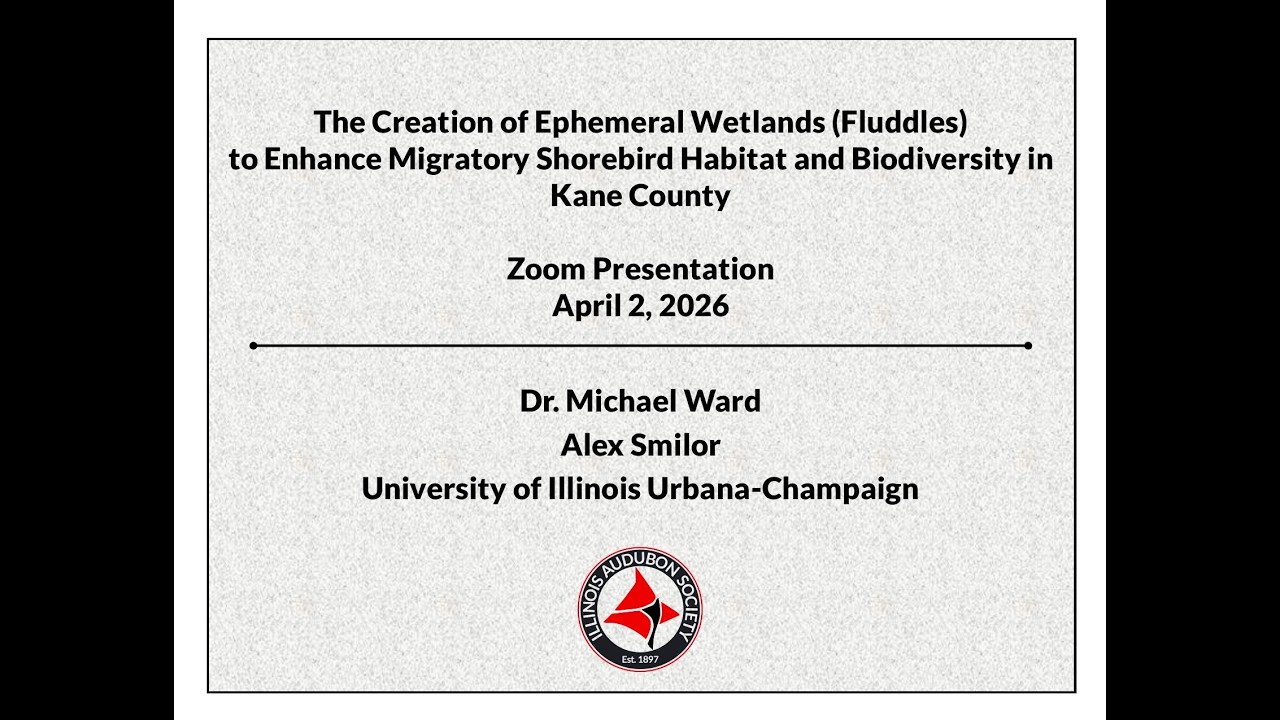 Creation of Ephemeral Wetlands to Enhance Migratory Shorebird Habitat & Biodiversity in Kane County