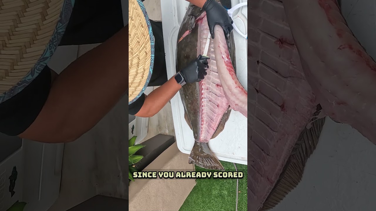 How to Fillet a California Halibut- BIG ONE  #fishing #howto #halibut