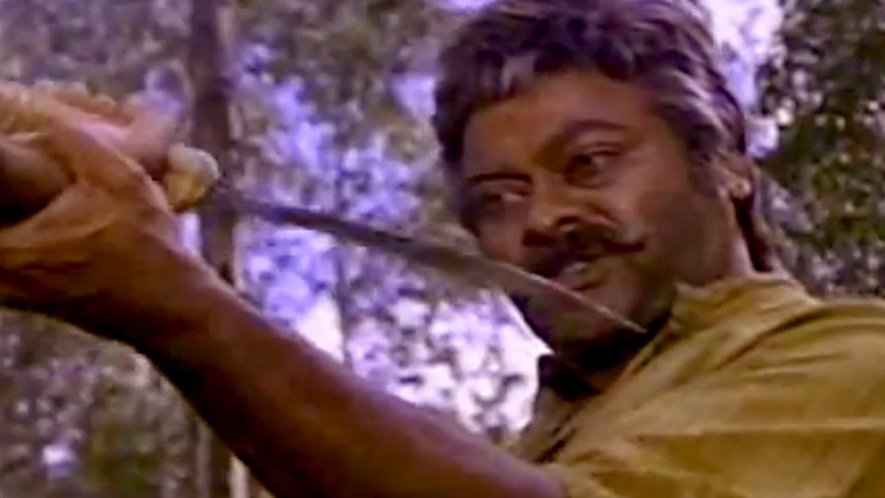Sneham Kosam Movie|| Chiranjeevi  Stunning Action Scene || Chiranjeevi,Meena