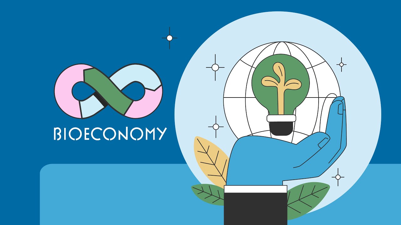 Bioeconomy: concept and importance