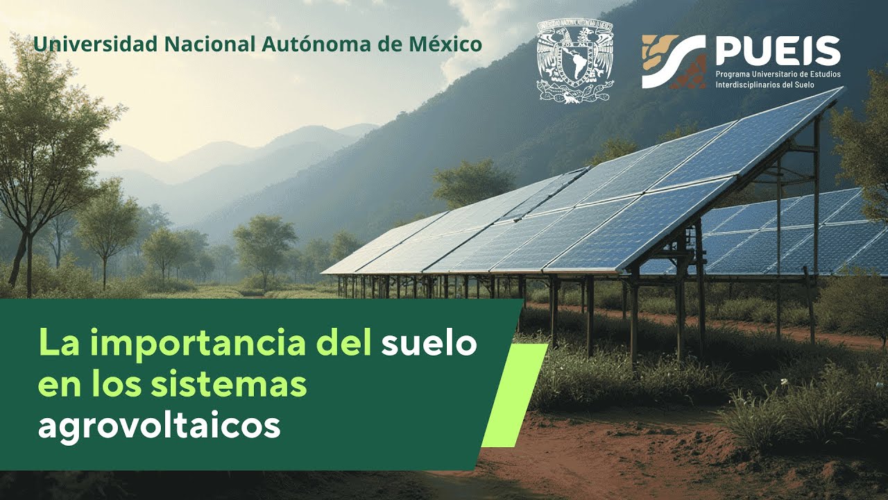 La importancia del suelo en los sistemas agrovoltaicos