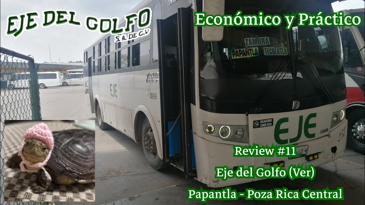 Los Urbanos Del Norte Jarocho | Eje del Golfo (Ver) | Papantla - Poza Rica Central | Review #11 