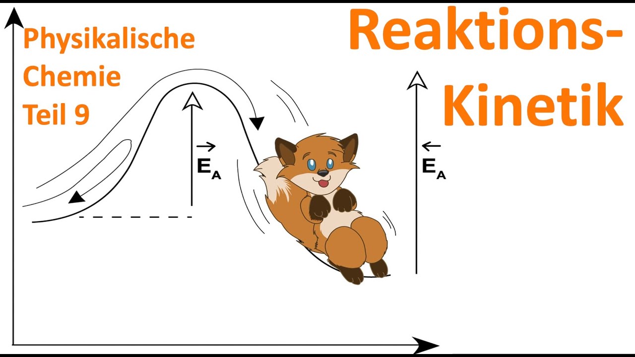 Wie beschreiben wir die Geschwindigkeit einer einfachen Reaktion? 