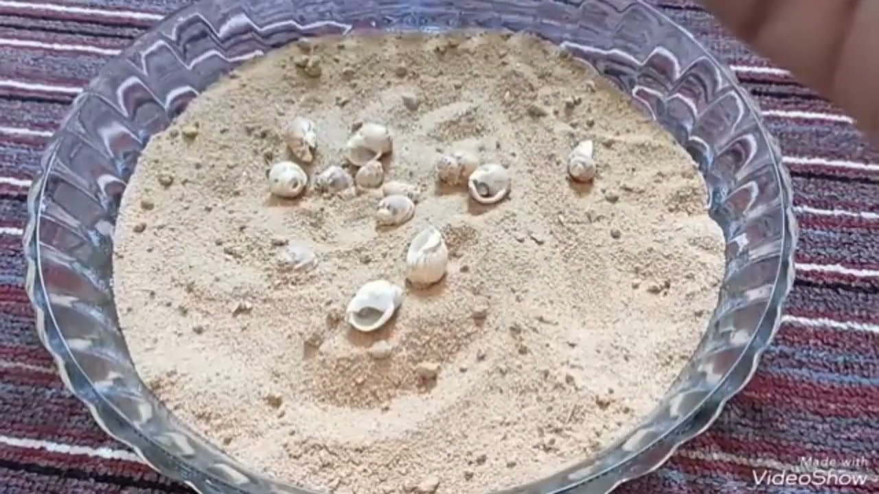 برج الحمل بضربة الوداع 🫣 مباركه وانتصار 🤲وخبر هيطمنك 👌فك قيد 👆 خروجه من أزمة