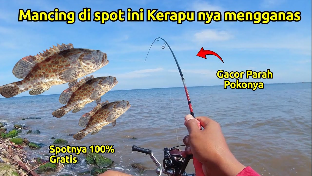 Spot nya gratis, Ikan nya mengganas 🔥 Mancing di ancol terbaru, alternatif selain muara baru