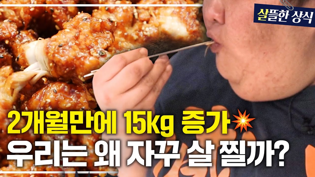 순식간에 100kg을 넘겨버렸다...?🤯 우리가 다이어트에 실패하는 이유｜한 번 더 리즈시절 외｜JTBC 230415 방송 외