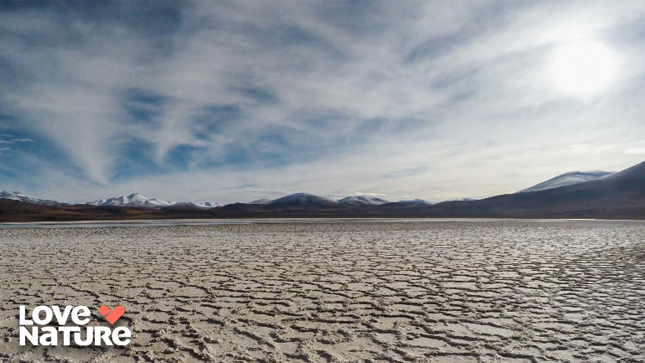 Exploring South America’s Last Wild Desert | Undiscovered Vistas 102