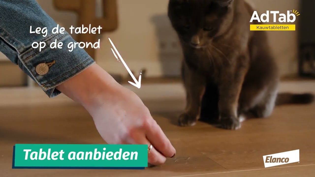 AdTabᵀᴹ kauwtablet voor uw kat www.dierapotheker.nl