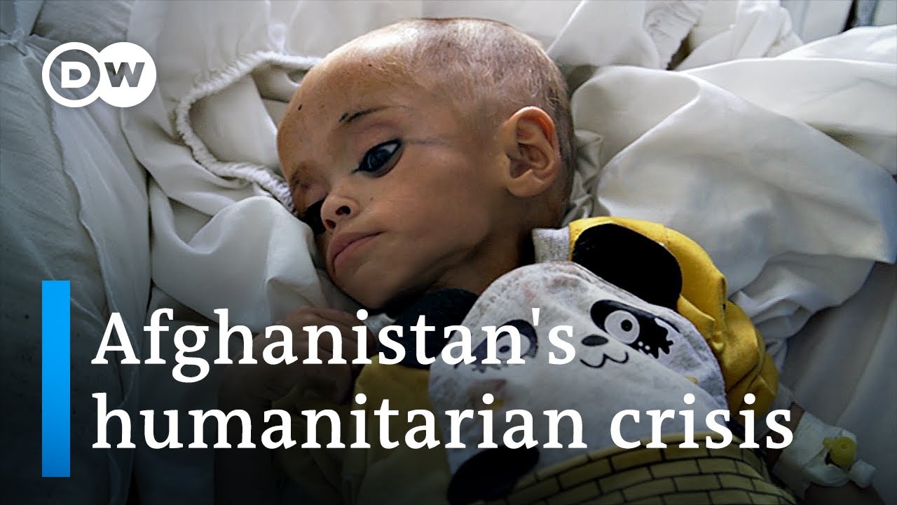 A year into Taliban rule: Mass hunger plagues Afghanistan | DW News