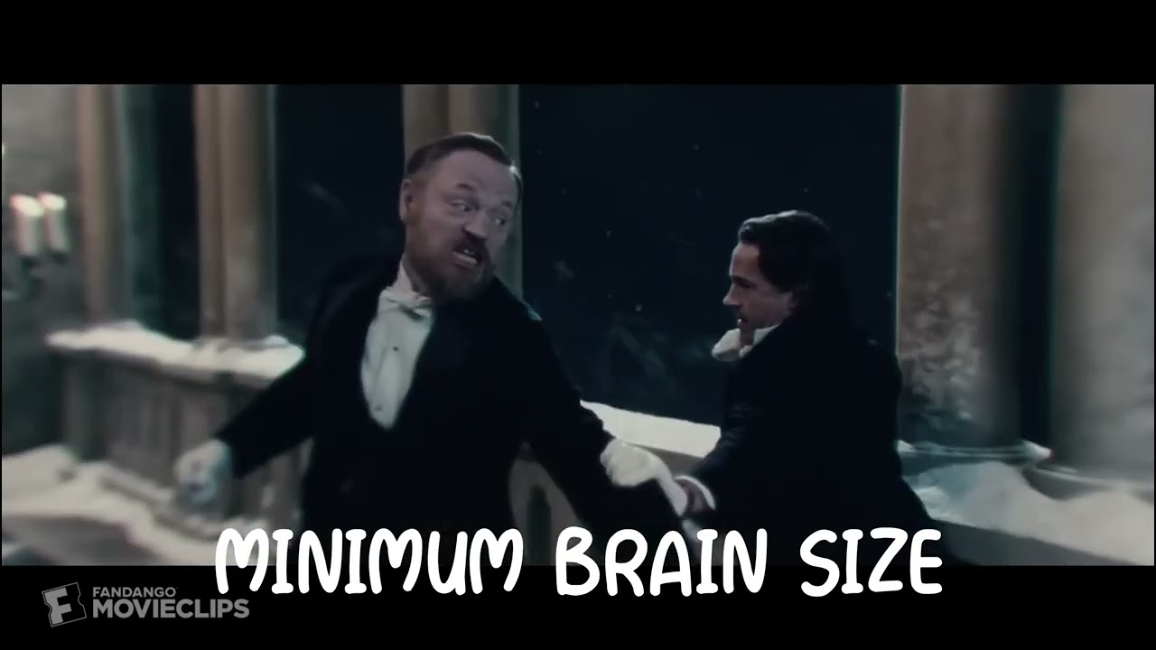 King Gizzard and The Lizard Wizard on Shuffle Be Like Part 2