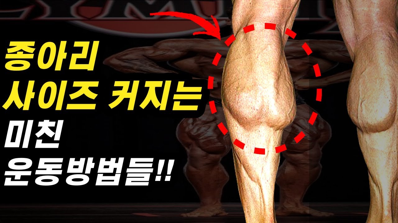 얇디 얇은 종아리를 두꺼운 종아리로 만드는 최고의 운동 6가지(ft가자미근, 비복근, 종아리 근육 키우기)