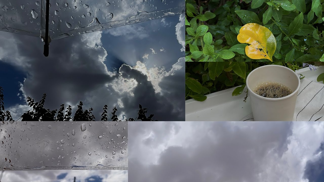 أجواء ماطرة  🌧️ ☔️ 