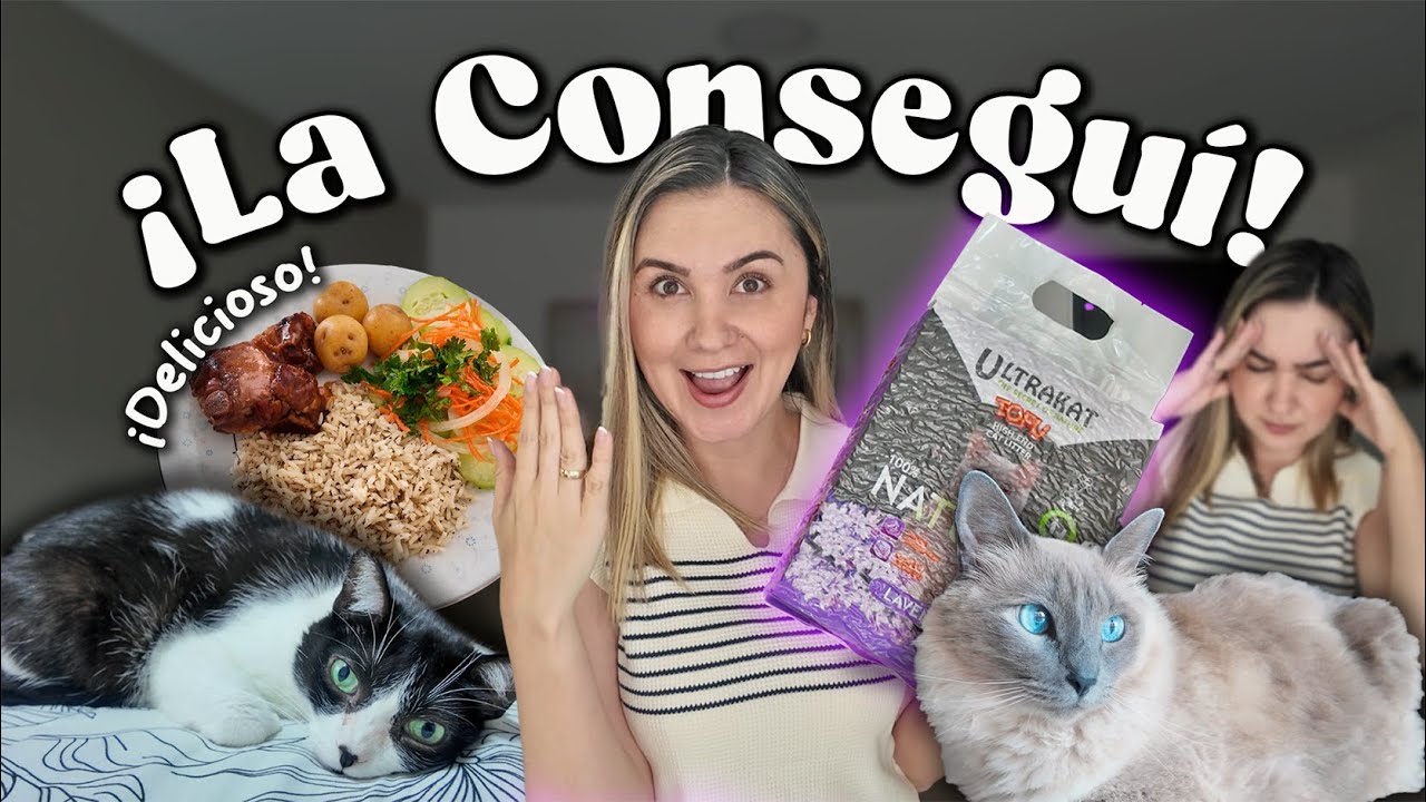 Día en casa | Arena de tofu 🐱🐱 + Receta fácil de arroz y costillas BBQ