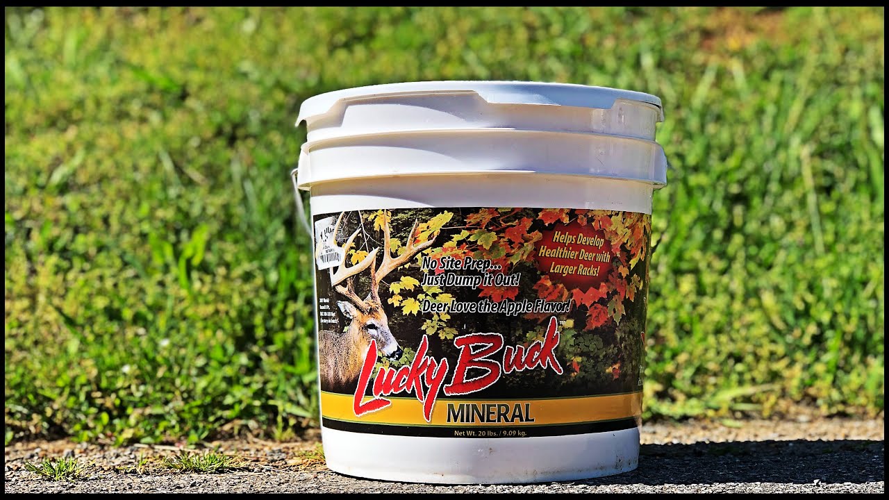 Deer Mineral Site | Trophy Rock | Lucky Buck |