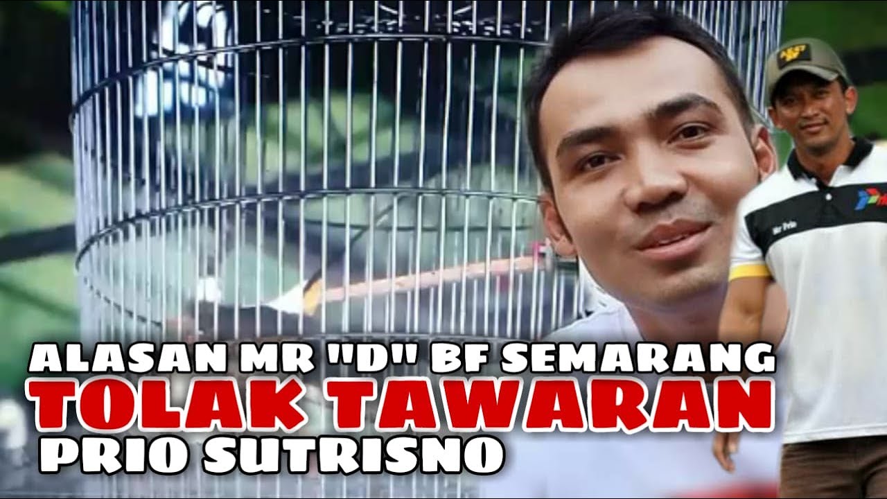 Ini Alasan Mr 