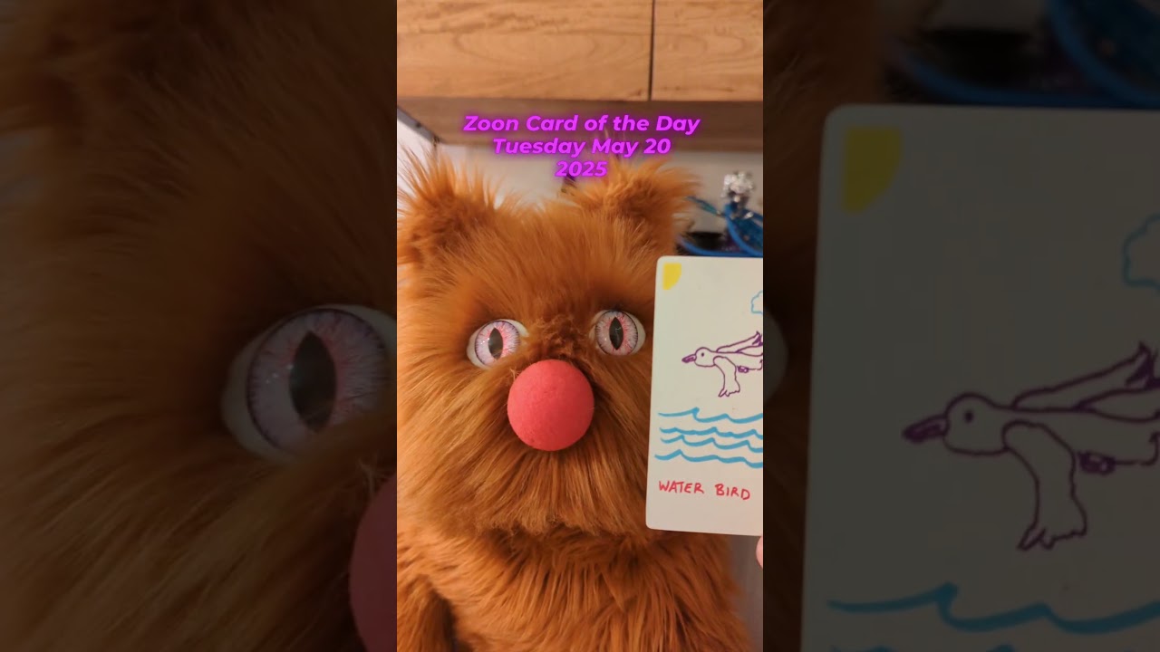 Zoon Card of the Day: Tuesday May 20, 2025