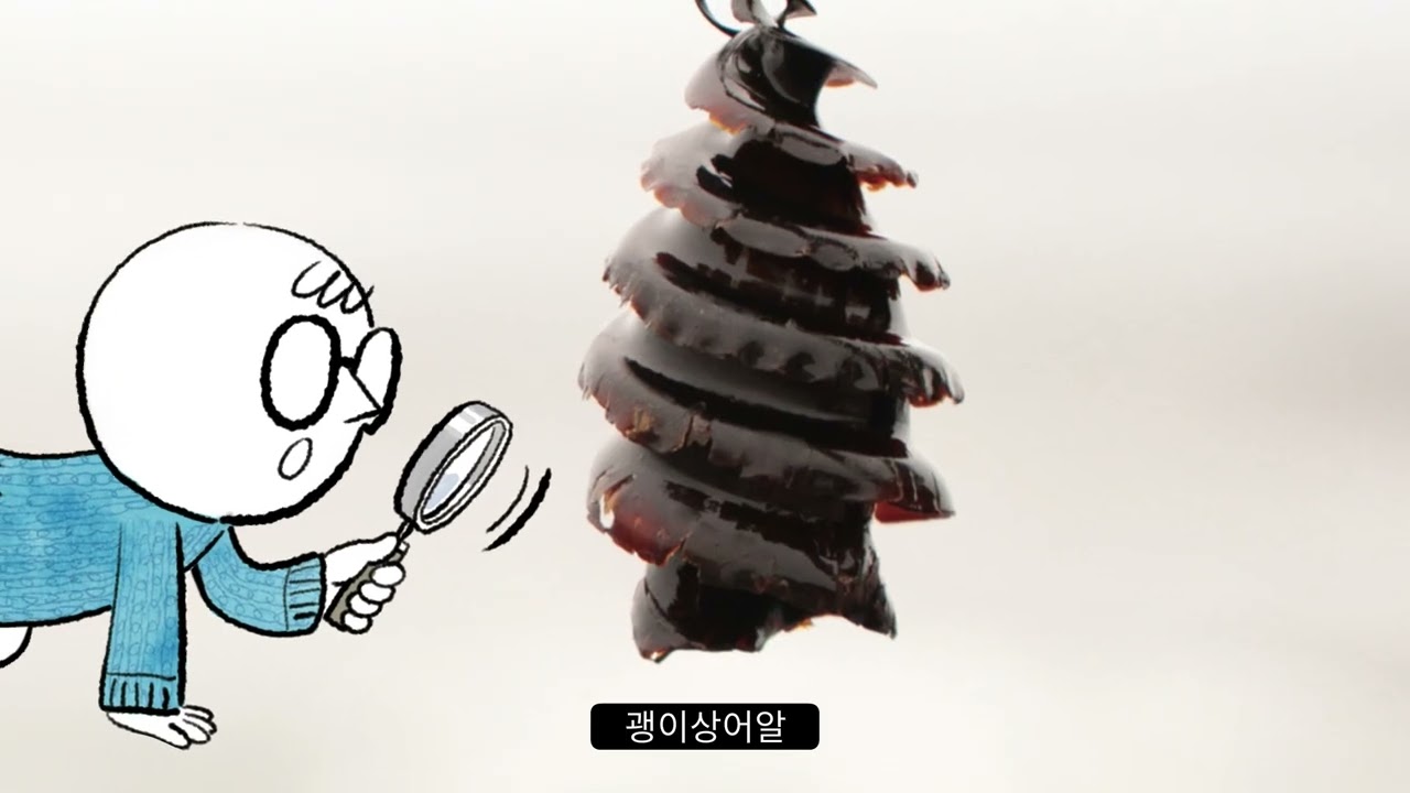 안다과학 12호1단계  도감 알